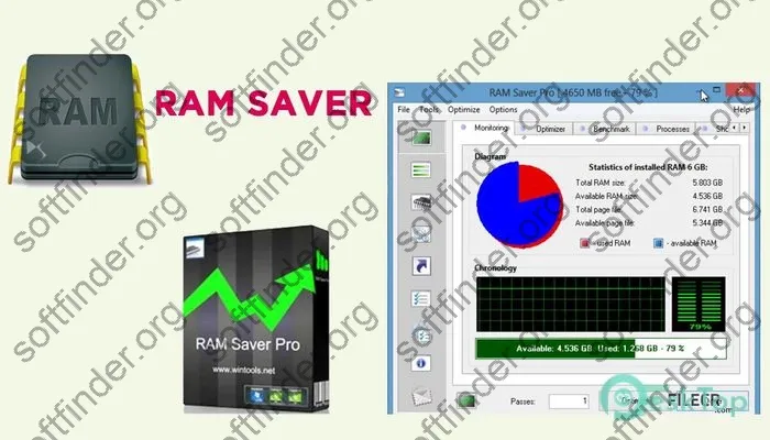 RAM Saver Professional Crack 23.10 Free Download